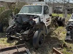 Salvage 1990 Ford F700 - 4283