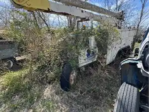 Salvage 1990 Ford F800 - U-L3-9B Ford Boom