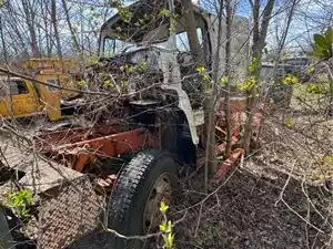 Salvage 1990 Ford LN9000 - LT1