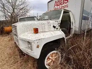 Salvage 1991 Ford F600 - 3813