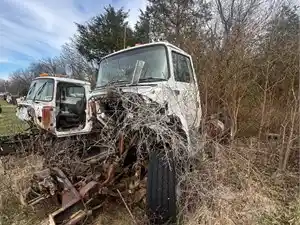 Salvage 1996 Ford LNT8000 - 2571