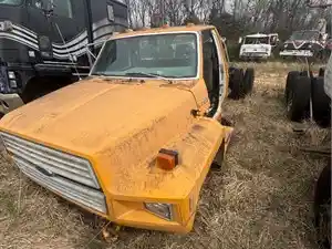 Salvage 1994 Ford F700 - 4039