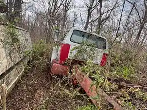 Salvage 1994 Ford F800 - 3719
