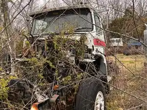 Salvage 1994 Ford LNT8000 - 2365