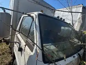 Salvage 1994 Isuzu NPR - 3873