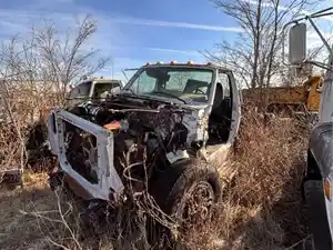 Salvage 1995 Ford F700 - 3144