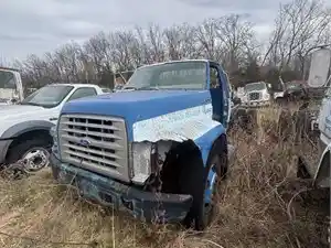 Salvage 1995 Ford F700 - 3143