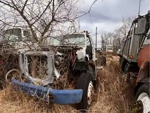 Salvage 1995 Ford F700 - 3141