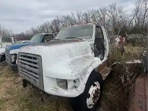 Salvage 1995 Ford F700 - 3142