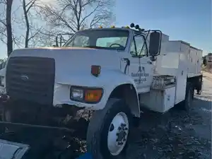 Salvage 1995 Ford F800 - LT20