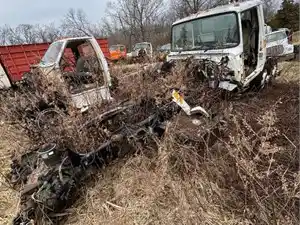 Salvage 1995 Ford LNT9000 - 4127