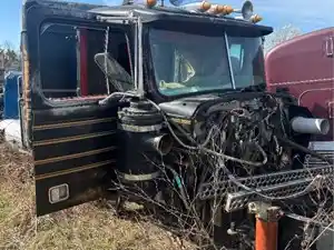 Salvage 1995 Western Star Other - U-L4-5 1995 western star