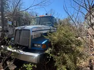 Salvage 1995 Western Star Other - U-L3-1