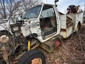 Salvage 1996 Ford F800 - 3911