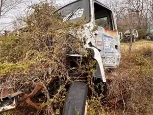 Salvage 1996 Ford LNT8000 - 2812