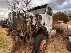 Salvage 1996 Freightliner FLD112 - 3612