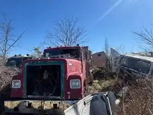 Salvage 1996 International CAB - L4-12 FL FL daycab