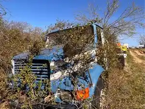 Salvage 1996 International F-4900 - 2947
