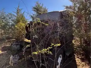 Salvage 1997 Ford AT9513 Aeromax 113 - 2828