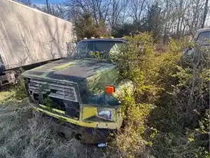 Salvage 1989 Ford F700 - 1754