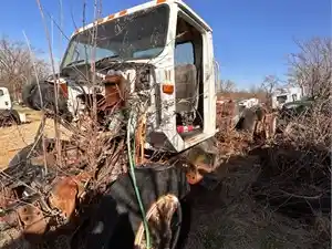 Salvage 1998 International 8100 - 2683
