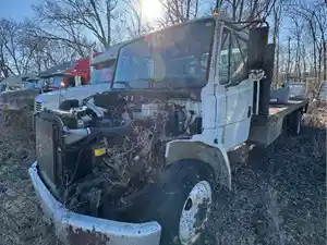 Salvage 1999 Freightliner FL60 - 4203