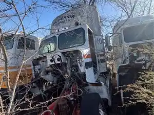 Salvage 2000 Freightliner Cascadia - U-L4-13 FL FL Daycab 16