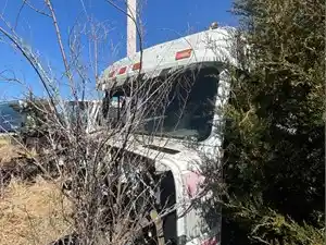 Salvage 1996 Freightliner FLD112 - 2253