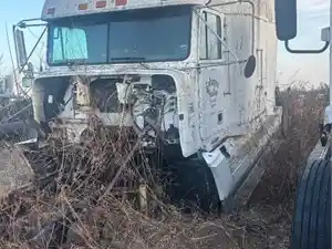 Salvage 1996 Freightliner FLD120 - 3536