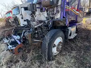 Salvage 2005 Peterbilt 387 - U-L5-4 2005 PB 387
