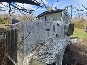 Salvage 2006 Peterbilt 385 - 4052
