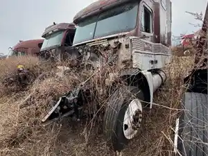 Salvage 2007 Freightliner COLUMBIA - U-L5-11B FL Columbia Gilster6