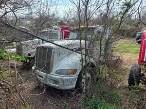 Salvage 2007 Peterbilt 386 - 4113