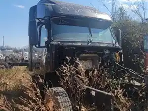 Salvage 2007 Volvo VNL - U-L4-10v
