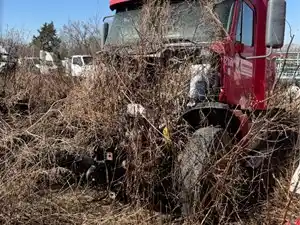 Salvage 2008 Freightliner COLUMBIA - 4785