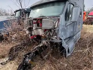 Salvage 2004 Peterbilt 387 - 4453