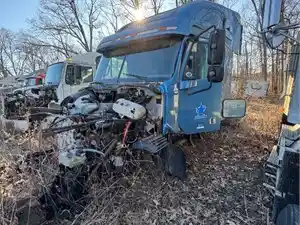 Salvage 2012 Peterbilt 386 - 4869