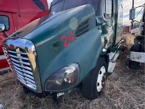 Salvage 2016 Freightliner Cascadia 132 - 4972