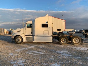Salvage 2009 Peterbilt 386 - PET09569