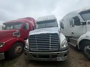 Salvage 2014 Freightliner Cascadia 125 - FRT14876