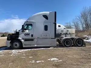 Salvage 2019 Freightliner Cascadia 126 - FRT19799