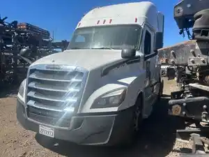 Salvage 2019 Freightliner Cascadia 126 - TR445