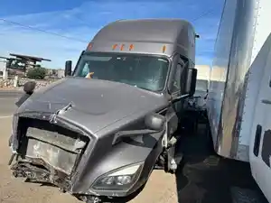 Salvage 2021 Freightliner Cascadia 126 - TR439