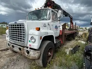 Salvage 1985 Ford LNT8000 - 25-116