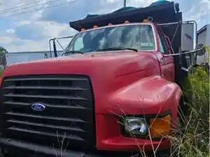 Salvage 1995 Ford F800 - 25-124