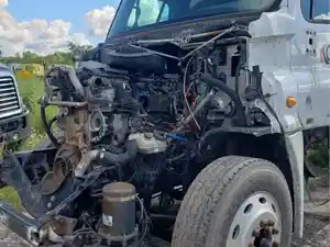 Salvage 2011 Freightliner Cascadia 125 - 25-113