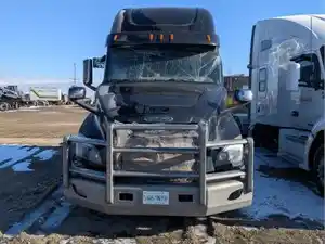Salvage 2019 Freightliner Cascadia 126 - SV-180