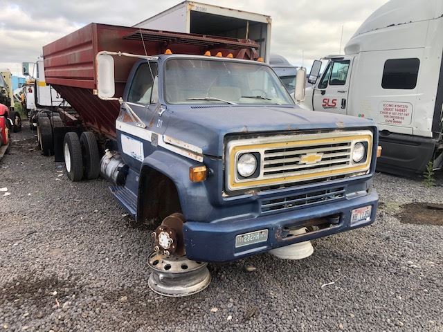 Chevrolet  C50
