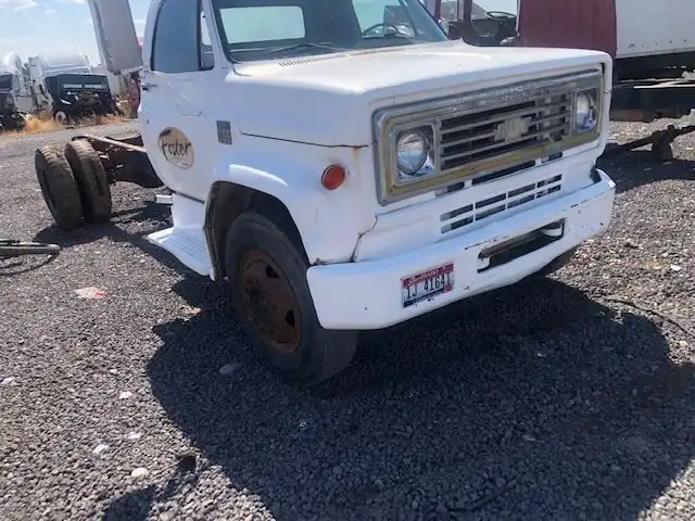 Chevrolet  C65