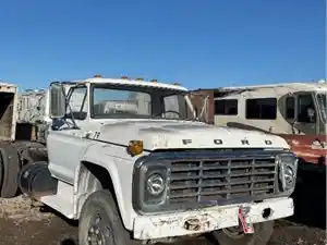1979 Ford F600 Truck for Parts (Stock #101225)) Part Image
